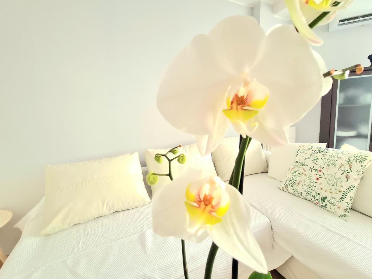 Aa Guest - El Mono De Torre Del Mar Eco Apartment エクステリア 写真