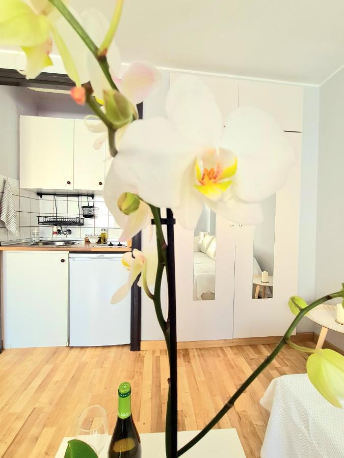 Aa Guest - El Mono De Torre Del Mar Eco Apartment エクステリア 写真