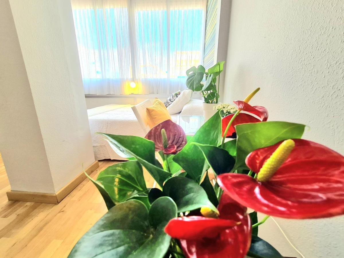 Aa Guest - El Mono De Torre Del Mar Eco Apartment エクステリア 写真