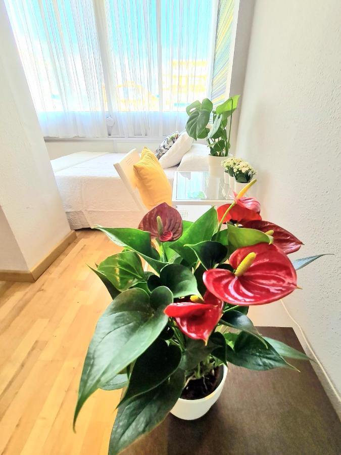 Aa Guest - El Mono De Torre Del Mar Eco Apartment エクステリア 写真